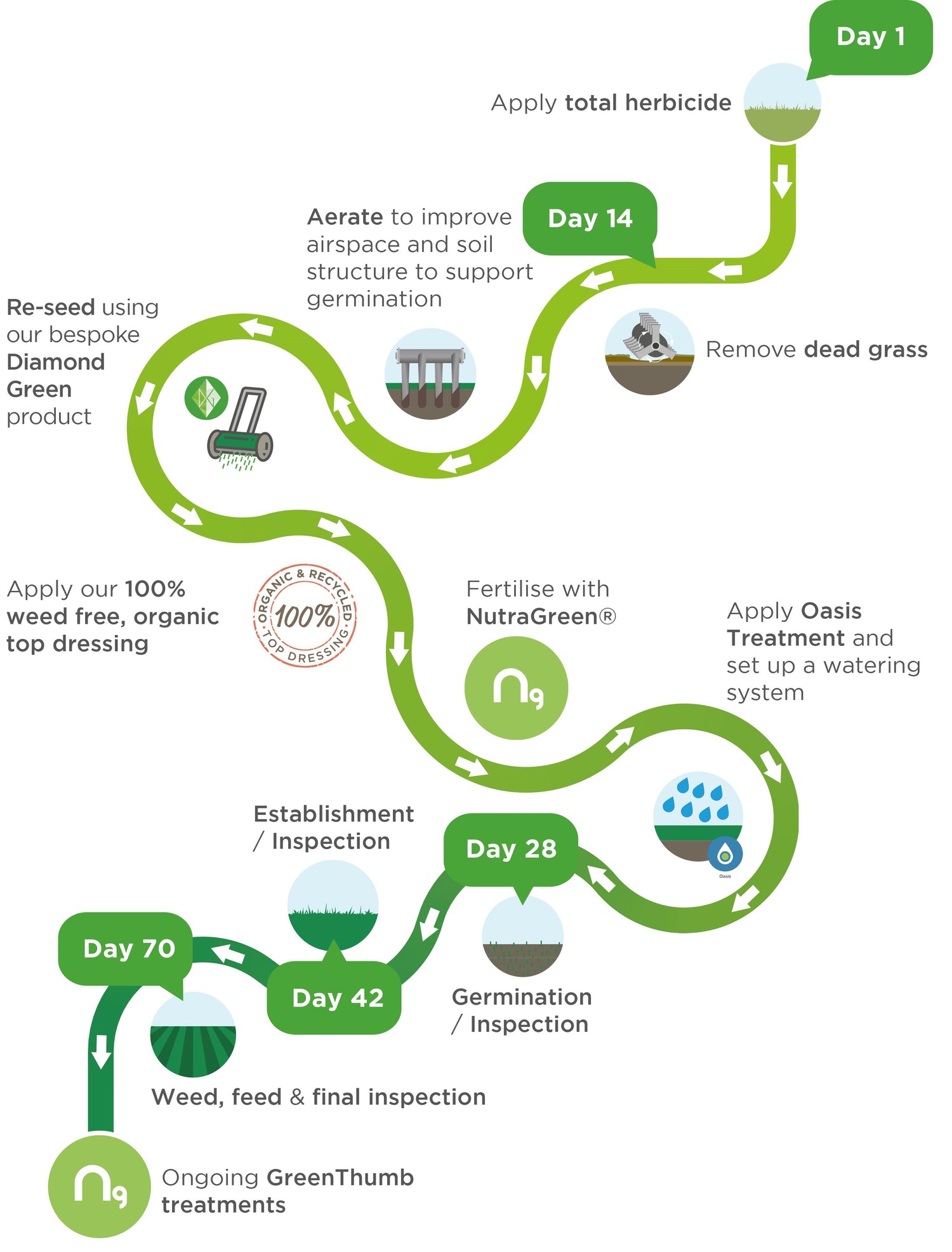 Lawn Makeover Journey