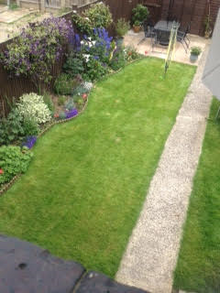 small green lawn with flowers treated by GreenThumb Blandford Forum