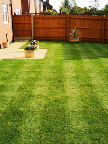 A lawn treated by GreenThumb Ashby