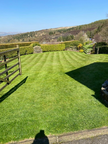Healthy lawn treated by GreenThumb Manchester North West