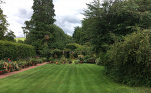 striped lawn treated by GreenThumb Newcastle