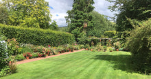 lawn treated by GreenThumb Newcastle