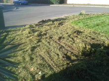 Thatch on lawn after scarification by GreenThumb Notts East