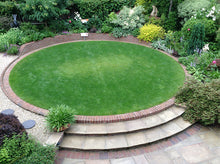 A small round lawn treated by the team at GreenThumb Croydon and Bromley