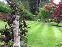 Lovel striped lawn treated by GreenThumb Newcastle