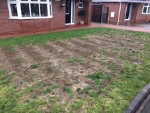 GreenThumb Louth poor lawn