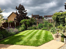 Small green lawn treated by GreenThumb Guildford