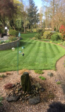 lovely lawn with stripes treated by GreenThumb Notts South
