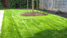 lovely lush lawn after it was treated by GreenThumb Tameside