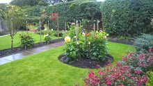 lush lawn surrounded by flowers treated by GreenThumb Tameside