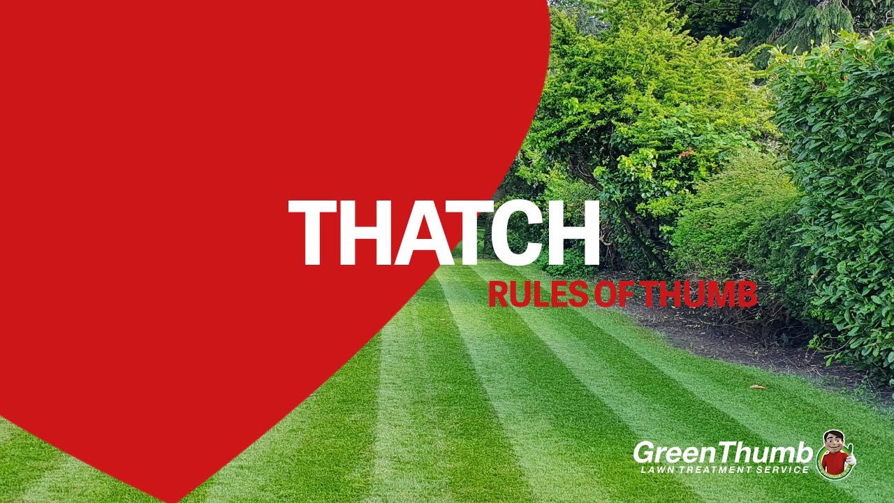 Load video: Watch our Rules of Thumb video on Thatch here:
