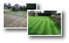 GreenThumb Ashbourne before and after lawn treatment photo 