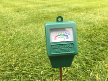 Moisture meter in lawn. 