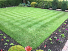 small lawn with stripes surrounded by flowers by GreenThumb Lancashire West. 