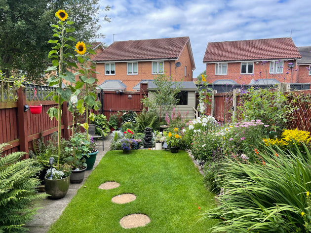 {"alt"=>"Very small sized GreenThumb lawn"}